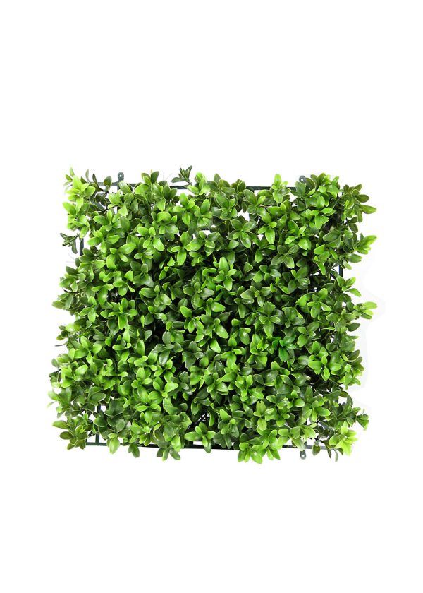 Boxwood Tile